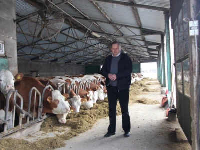 Farma Majetić