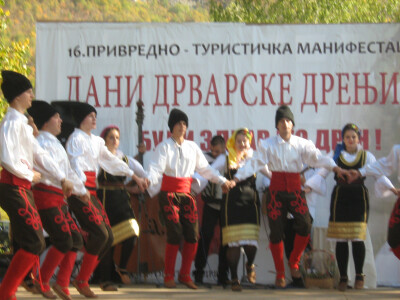 16. Dani drvarske drenjine