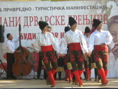 16. Dani drvarske drenjine