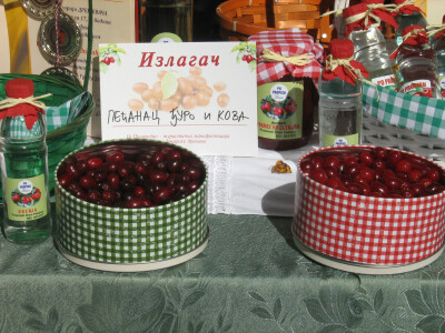 16. Dani drvarske drenjine