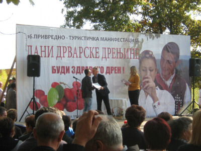 16. Dani drvarske drenjine