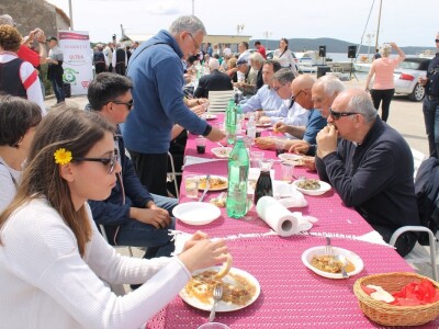 Dani masline - stručni izlet na Ugljan