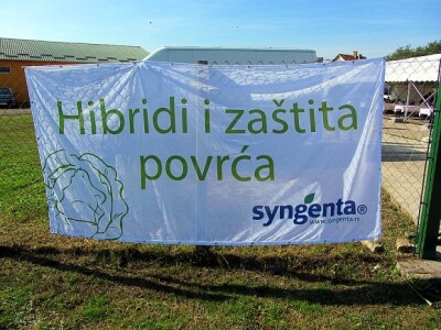 U Despotovu održan &quot;Dan povrtara&quot;