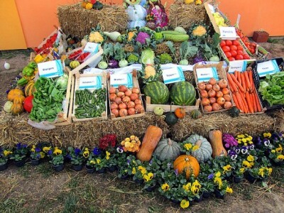 U Despotovu održan &quot;Dan povrtara&quot;