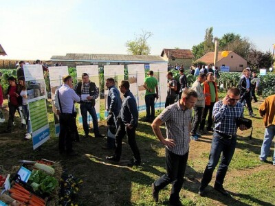 U Despotovu održan &quot;Dan povrtara&quot;