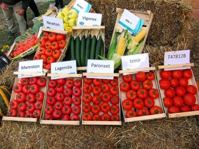 U Despotovu održan &quot;Dan povrtara&quot;