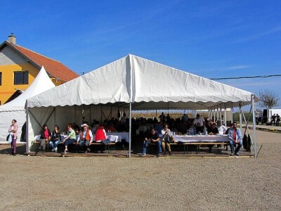 U Despotovu održan &quot;Dan povrtara&quot;