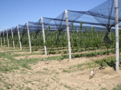 Radionica sklopu programa "JABUKA.NET 2"