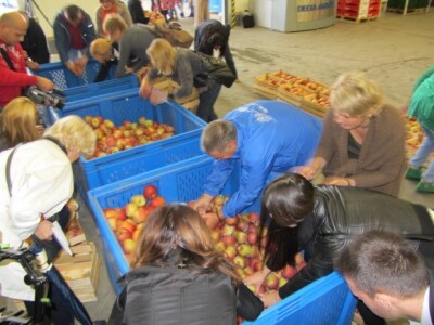 U "Delta Agraru" počela berba KIKU 8 U "Delta Agraru" počela berba KIKU 8