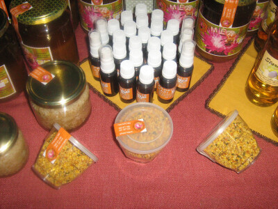 Štand porodice Arnautović