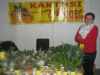 Kaktusi Desanke Vrhovac iz Laktaša