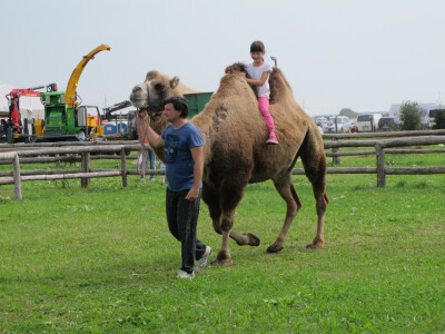 24. jesenski sajam u Gudovcu - zemlja partner Izrael