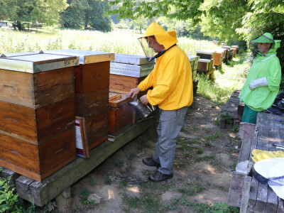 Nikada tu nije dosadno