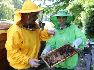 Da je pčelar biti lako, pčelar bi bio svako!