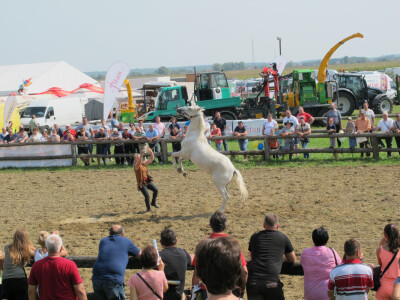 24. jesenski sajam u Gudovcu - zemlja partner Izrael