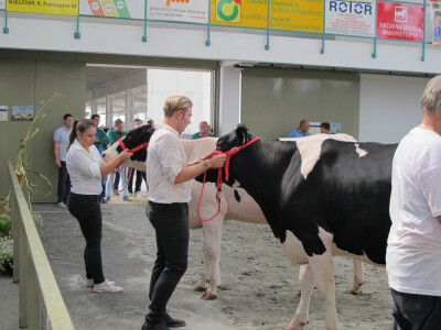 24. jesenski sajam u Gudovcu - zemlja partner Izrael