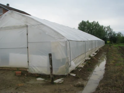 Plastenik
