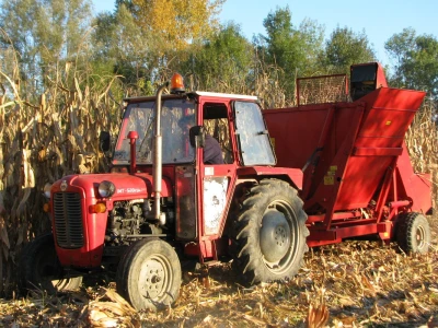 Berba kukutuza