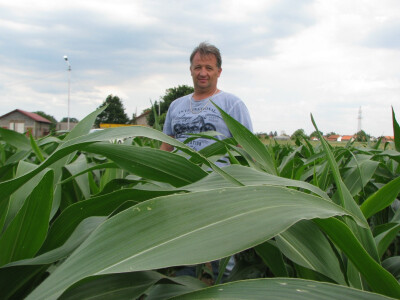 Samirovi kukuruzi najbolji u regionu