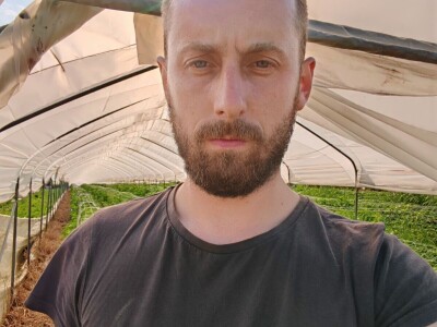 BACANJE PAPRIKE I KRASTAVACA U PODRAVINI