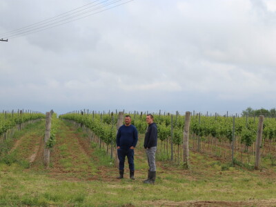 Poljonova prezentacija ViniBotovog robota Bakus