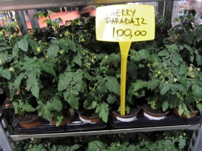 Sajam hortikulture 2015