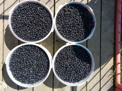 PG Rad-Kom d.o.o. PG Rad-Kom d.o.o.