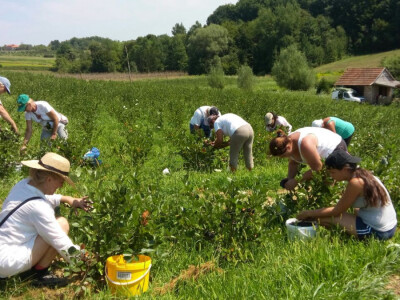 PG Rad-Kom d.o.o. PG Rad-Kom d.o.o.