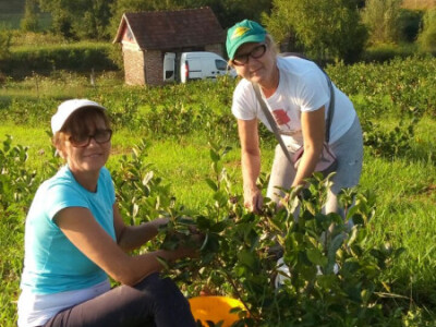 PG Rad-Kom d.o.o. PG Rad-Kom d.o.o.