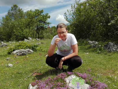 Ljekovito bilje - šansa za mlade ljude