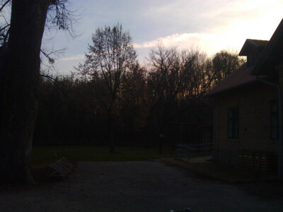 Suton u Zlatnoj gredi