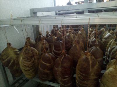 OPG Ivan Bucić OPG Ivan Bucić