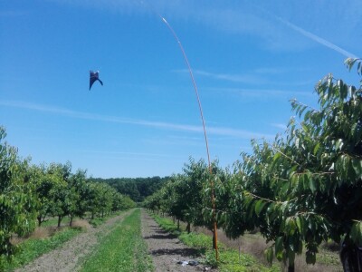 SCARYBIRD: Da više u proizvodnji nemate problema s pticama