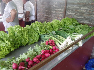 Predstavljeno udruženje poljoprivrednih proizvođača &quot;Baš iz Srbije&quot;