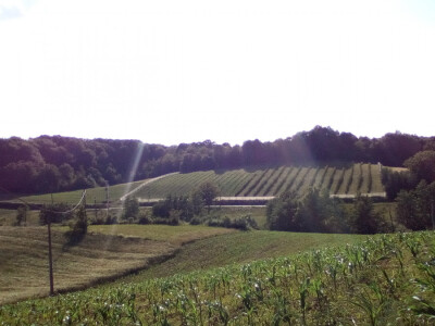 navodnjavanje navodnjavanje