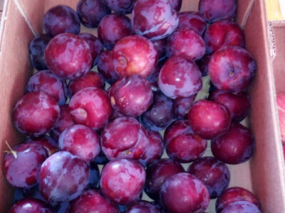 Lefkada, Nidri - cene namirnica