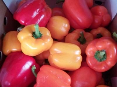 Lefkada, Nidri - cene namirnica