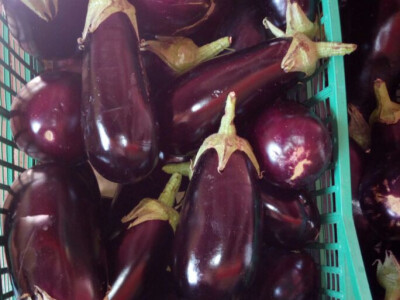 Lefkada, Nidri - cene namirnica