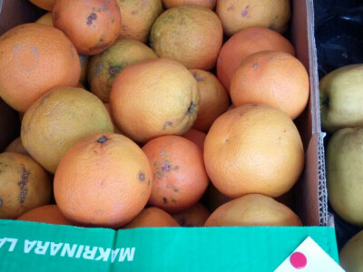 Lefkada, Nidri - cene namirnica