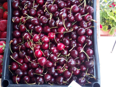 Lefkada, Nidri - cene namirnica