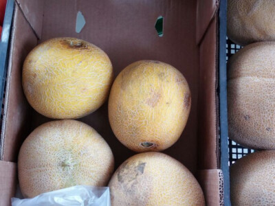 Lefkada, Nidri - cene namirnica