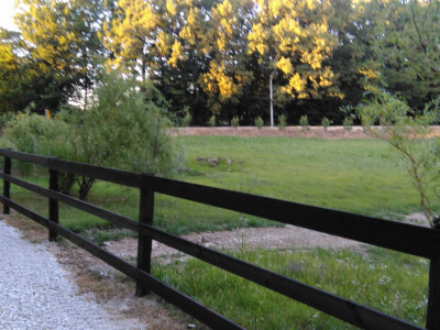 Brezička dolina Brezička dolina