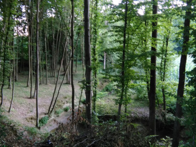 Brezička dolina Brezička dolina