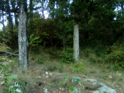 Ovo gori. A tu je nekada bio vinograd Ovo gori. A tu je nekada bio vinograd