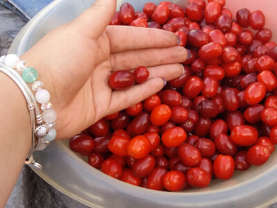 Đuro Pećanac bavi se preradom drenjine