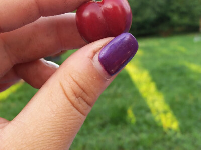 Đuro Pećanac bavi se preradom drenjine