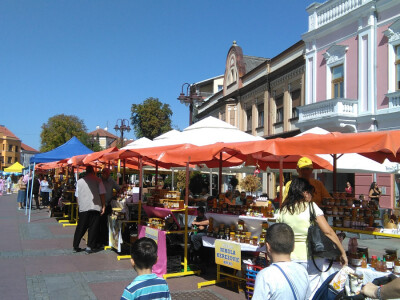 Sajam pčelarstva foto:D.Plavšić