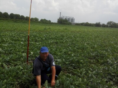 SCARYBIRD: Da više u proizvodnji nemate problema s pticama