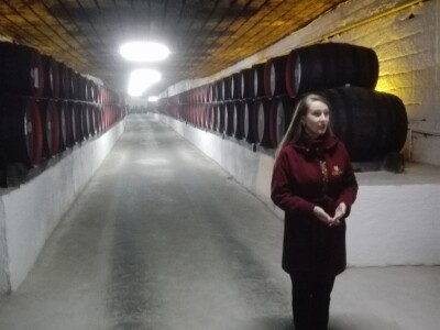 MOLDEXPO 2018, Kišinjev, Moldavija