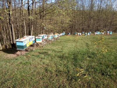 Gazdinstvo Kovačević